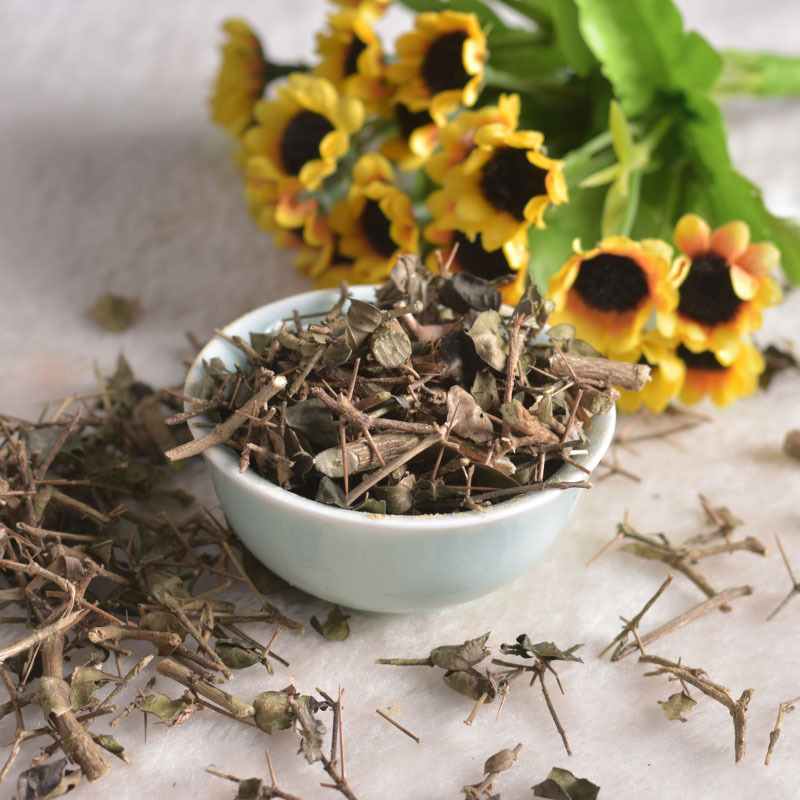 寻千草中药材 绣花针 虎刺 伏牛花寿星草老鼠刺黄脚鸡 货 - 图2