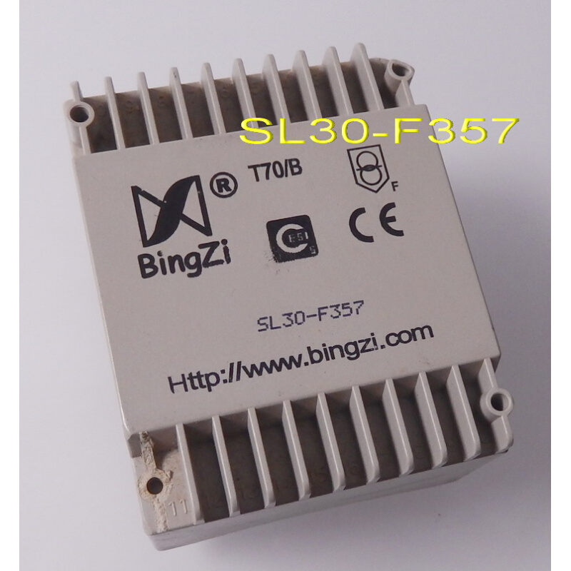 SL 30-F357 20-F344 10-177 9-F9 SL6-F250 328 兵字BingZi变压器 - 图3