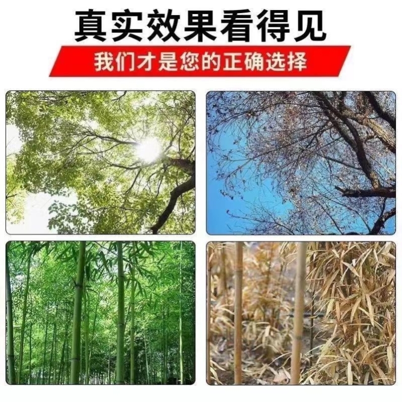 灭树粉烂根剂灭根粉专灭杂草竹子树强效烂根腐烂灌木跟颗粒剂肥料 - 图2