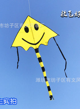 潍坊风筝 四色卡通笑脸风筝 出口品质拼接三角儿童款微风易飞