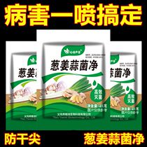 Scallion Ginger Garlic Fungus Net Dry Tip Yellow Leaf Agricultural Fungicide Foliar Fertiliser and Sscab Acne Universal Fertilizer