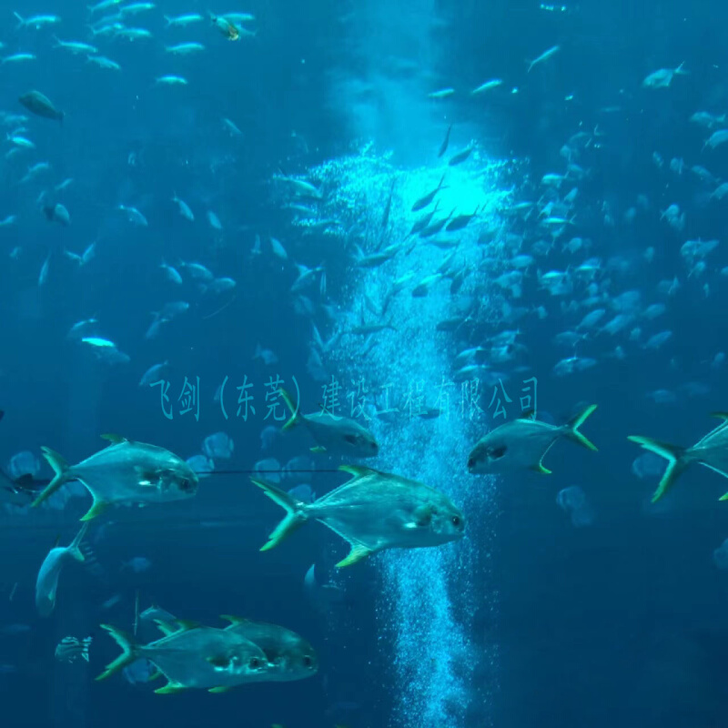 定制大型亚克力水族箱鱼缸高透明有机玻璃水体工程海洋馆设计建造 - 图2