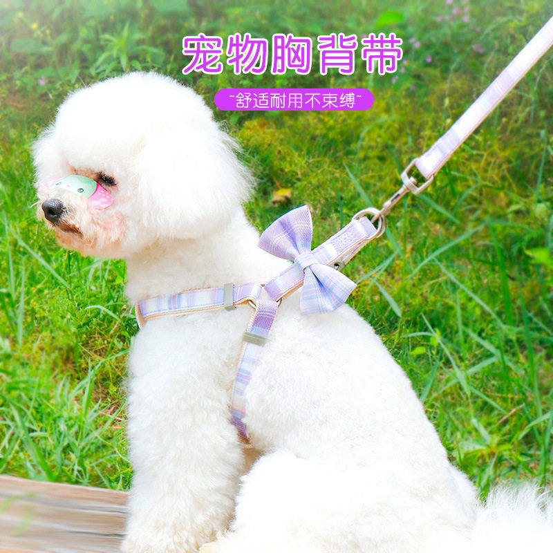 宠物狗狗牵引绳遛狗绳子遛猫比熊泰迪吉娃娃奶狗小型犬专用胸背带,淘宝优惠券,粉丝福利购,淘宝优惠卷