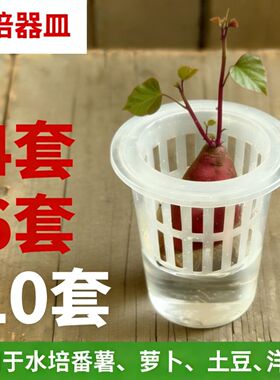 幼儿园水培植物器皿红薯土豆萝卜透明塑料花盆不易碎水养瓶