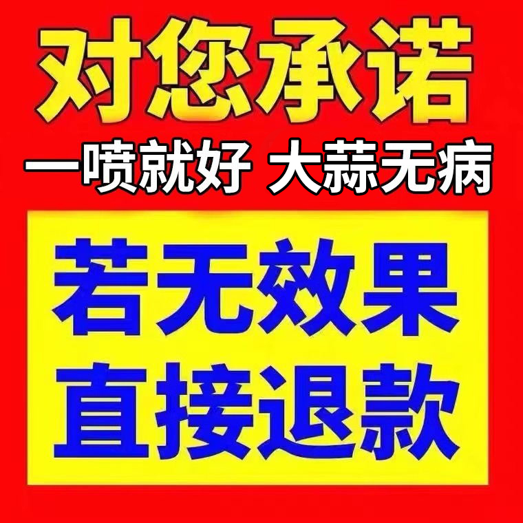 大蒜黄叶病专用药叶枯干尖灵根腐病紫斑病防治果菌清一喷绿叶面肥 - 图3