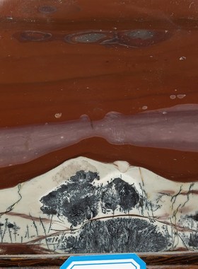 广西国画石天然奇石观赏石草花石中式摆件客N厅电视柜工艺品tg58