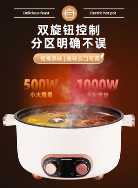 电火锅鸳鸯火锅家用大容量多功能宿舍防干烧不粘蒸煮电锅专用