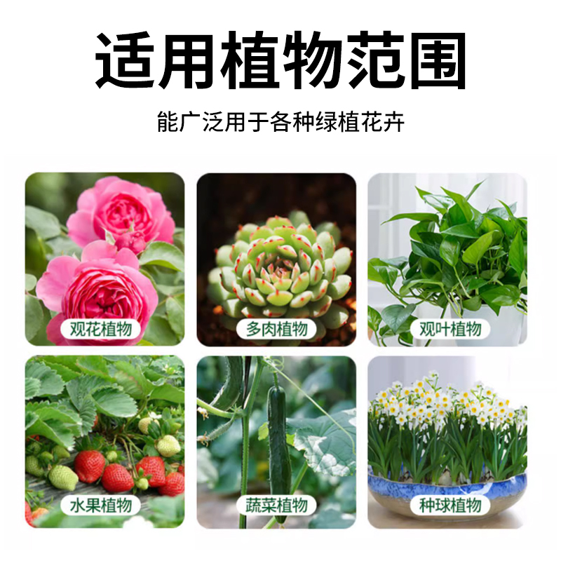 生根粉快速生根植物通用型树木移栽扦插壮苗绿植多肉营养液养花 - 图2