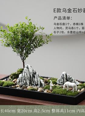 正品竹苔藓水培景观菖蒲盆文景绿乌金石办公室桌面造景微植摆件装