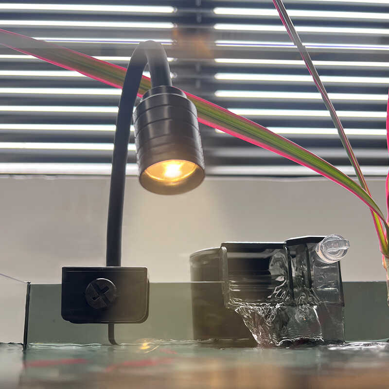 鱼缸造景小射灯南美缸调焦观赏原生溪流水陆缸专用led灯蓝黄白光 - 图0
