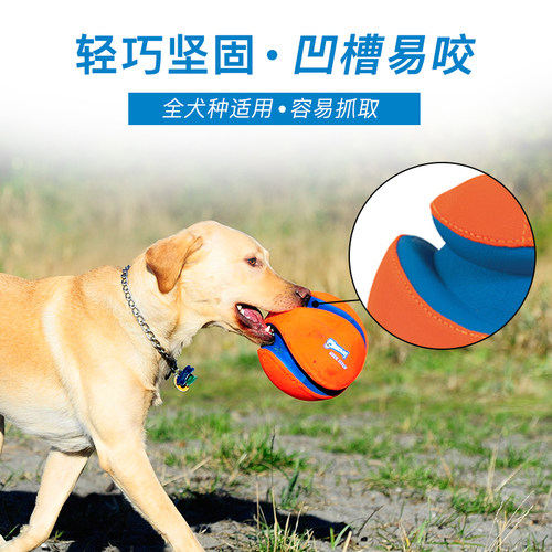 美国Petmate狗狗玩具球Chuckit边牧金毛耐咬互动宠物户外训练足球 - 图0