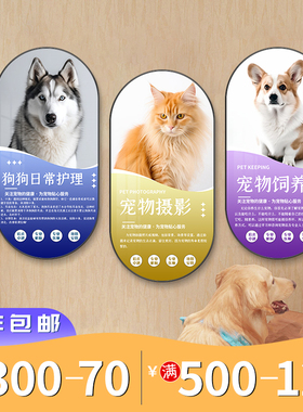宠物店装饰动物美容宣传背景墙医院诊所挂画猫狗护理知识科普壁画