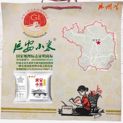 陕北小米黄小米新米陕西特产延安小米杂粮小米粥小黄米粮食油小米 - 图3