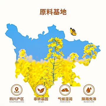 天府菜油压榨浓香菜籽油4L[3元优惠券]-寻折猪