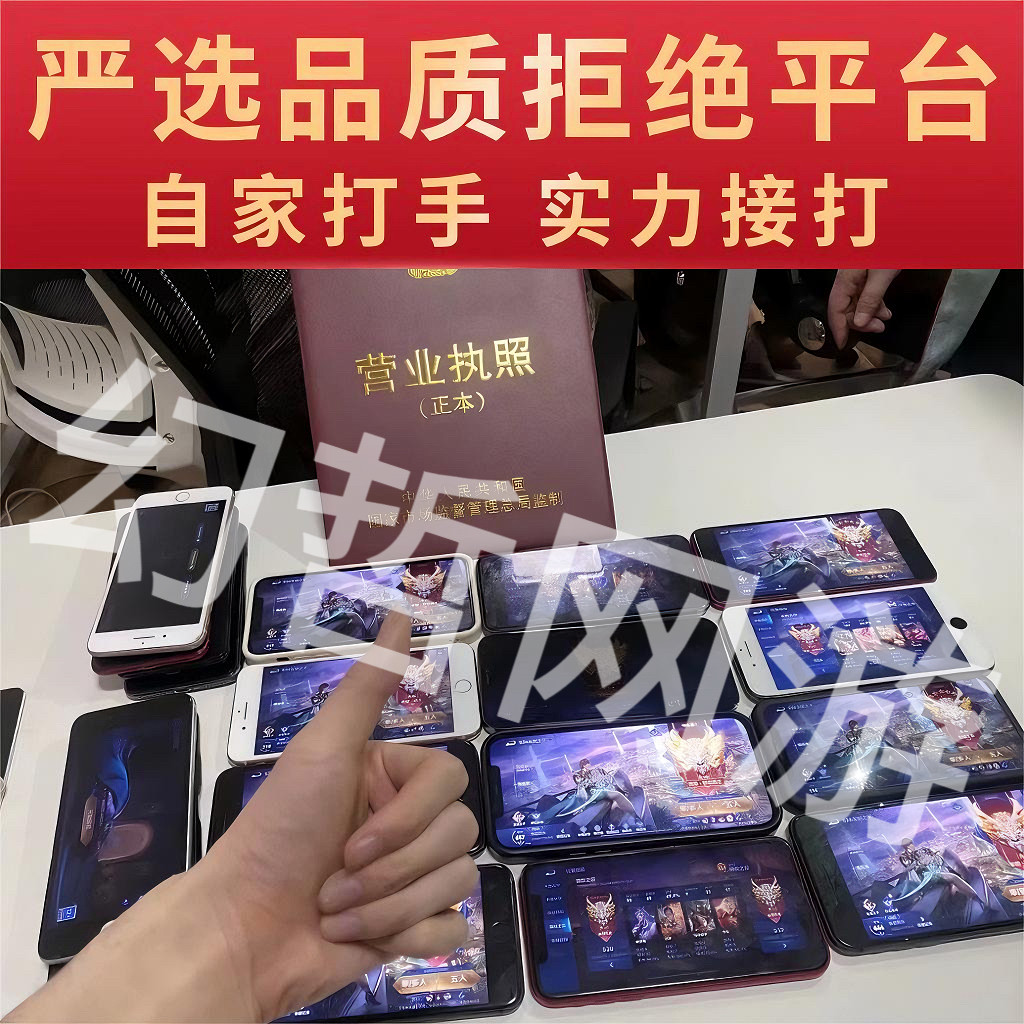 王者送荣耀代练打玩国服大小国标省标金标巅峰赛排位战力上分魔方
