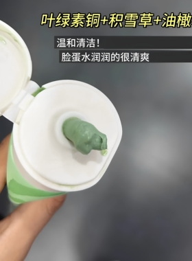 BUV叶绿素氨基酸洗面奶控油