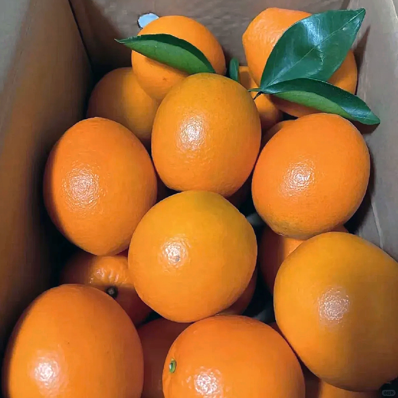 正宗纽荷尔脐橙江西赣州赣南现摘水果橙子新鲜柑子10斤装产地直发-图3