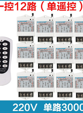 新品赛硕无b线遥控开关220V一拖6路/8路/12路/15路电灯具水泵控制