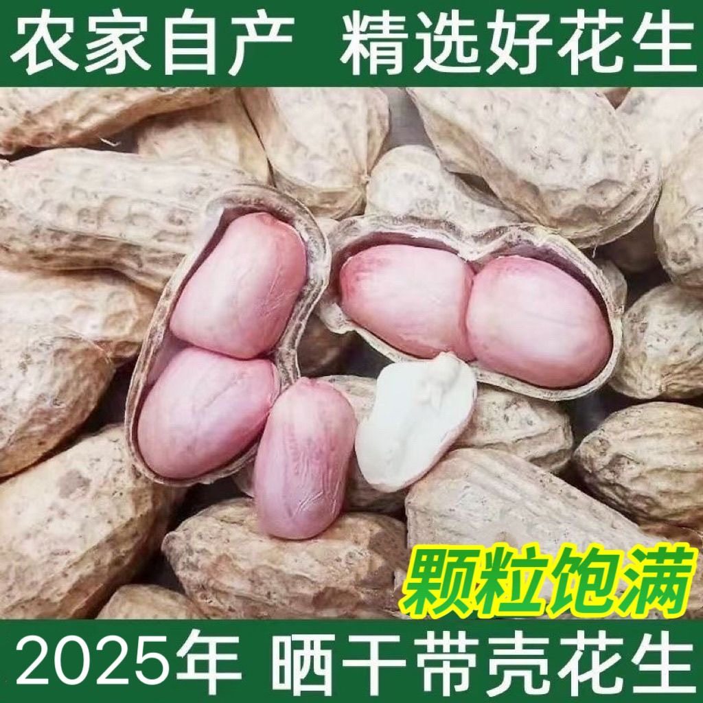 25年带壳生花生晒干5斤3斤原味新鲜种子级品质农家粉皮小粒白沙,淘宝优惠券,粉丝福利购,淘宝优惠卷