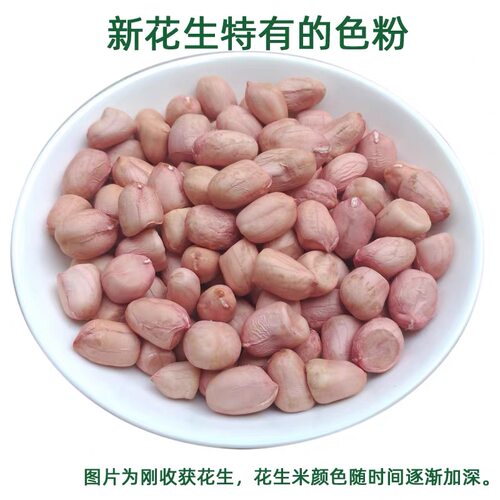 25年新货带壳生花生种子级农家自种白沙粉皮薄壳干花生果1-5斤 - 图3
