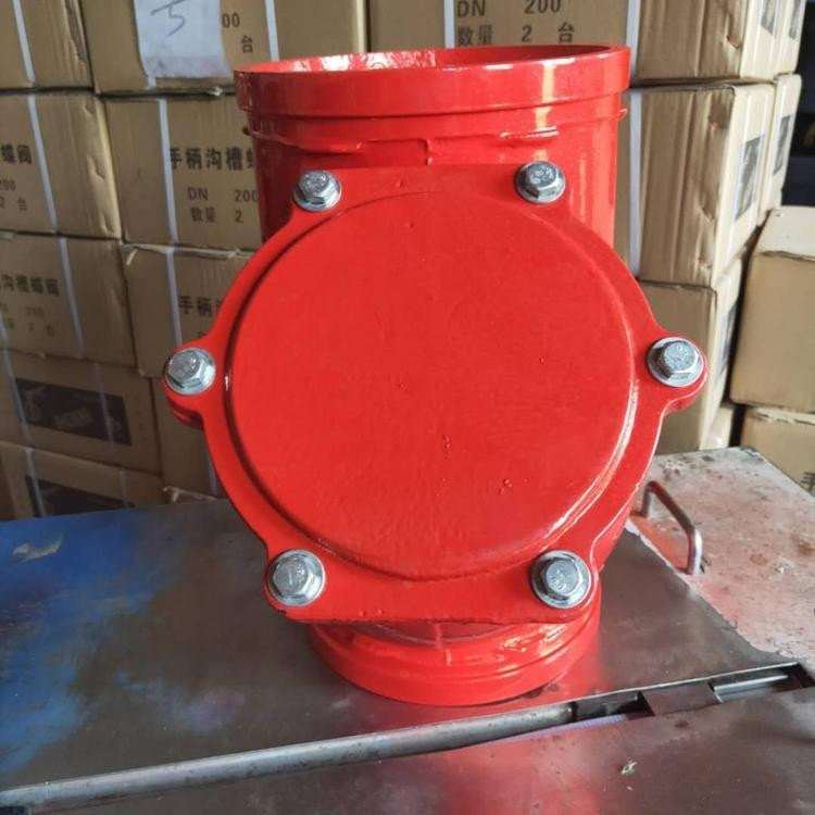 G81X沟槽过滤器 采用不锈钢在使用过程中不会出现滤网结锈而减少 - 图0