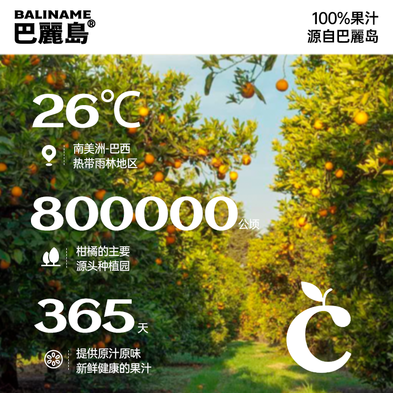 巴丽岛橙汁100%纯果汁富含 维C无添加饮料果蔬汁橙汁 孕妇饮料