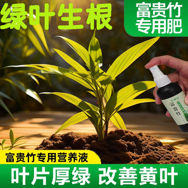 【拯救黄叶】专治叶子发黄烂根一喷绿水培植物液体肥富贵竹营养液