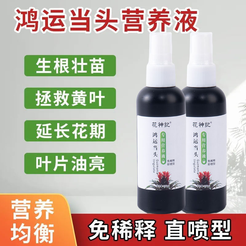 【急救】鸿运当头营养液专用预防黄叶不开花枯萎保花延花期花增艳