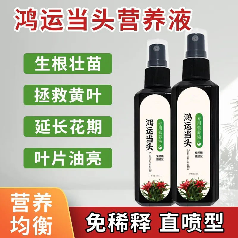 鸿运当头营养液治黄叶烂叶花失色促绿壮苗催花免稀释专用急救肥,淘宝优惠券,粉丝福利购,淘宝优惠卷