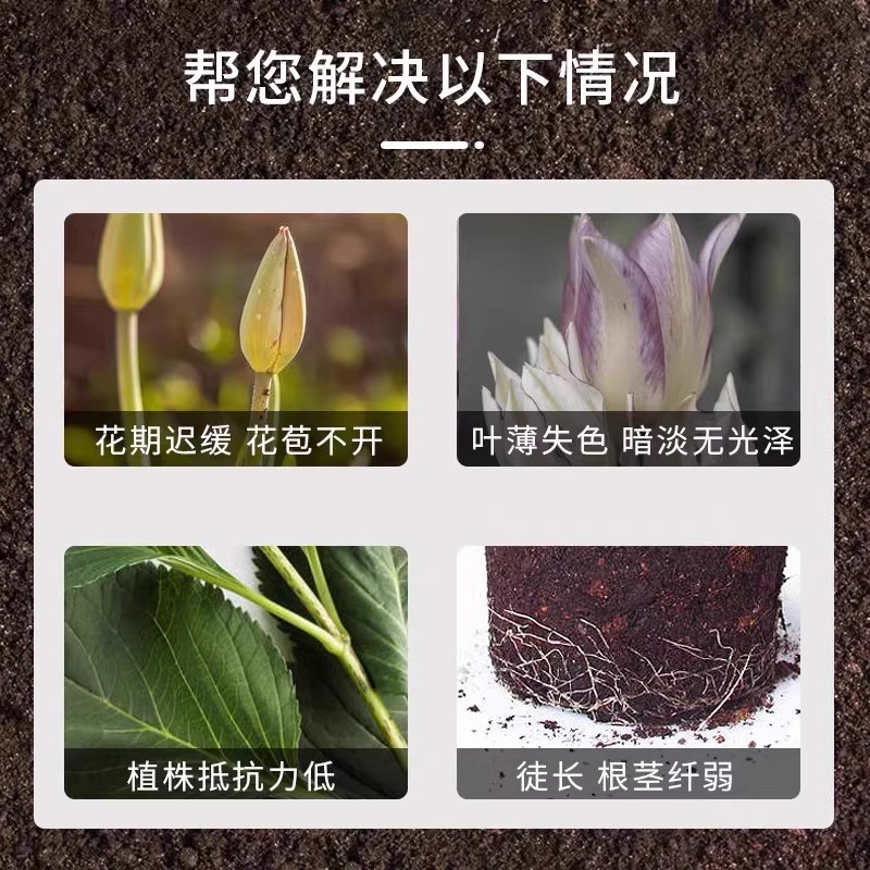 【巨好用】郁金香水培营养液专用种球发霉腐烂促发芽开花液体肥料 - 图1