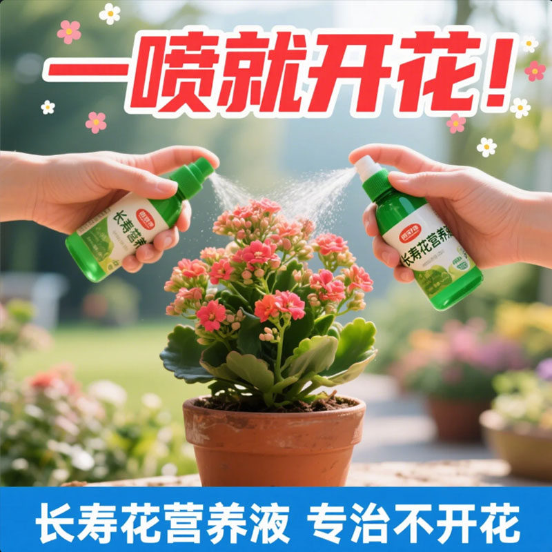 【开花爆盆】长寿花营养液用促开花催花免稀释长寿花专用肥营养液,淘宝优惠券,粉丝福利购,淘宝优惠卷