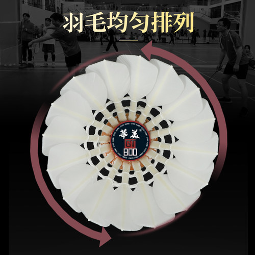 华美GT800羽毛球飞行稳定耐打不易烂俱乐部专业比赛训练用球12只 - 图0