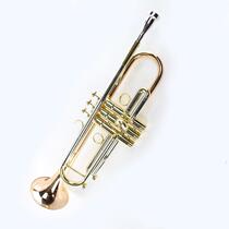 Mcgvett musical instrument MTR-500G descent B tuning small instrument phosphorus copper a piece of horn