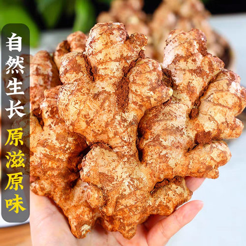 新鲜采摘正宗小黄姜新鲜生姜老姜现挖高山沙姜老嫩姜土姜蔬菜整箱 - 图2