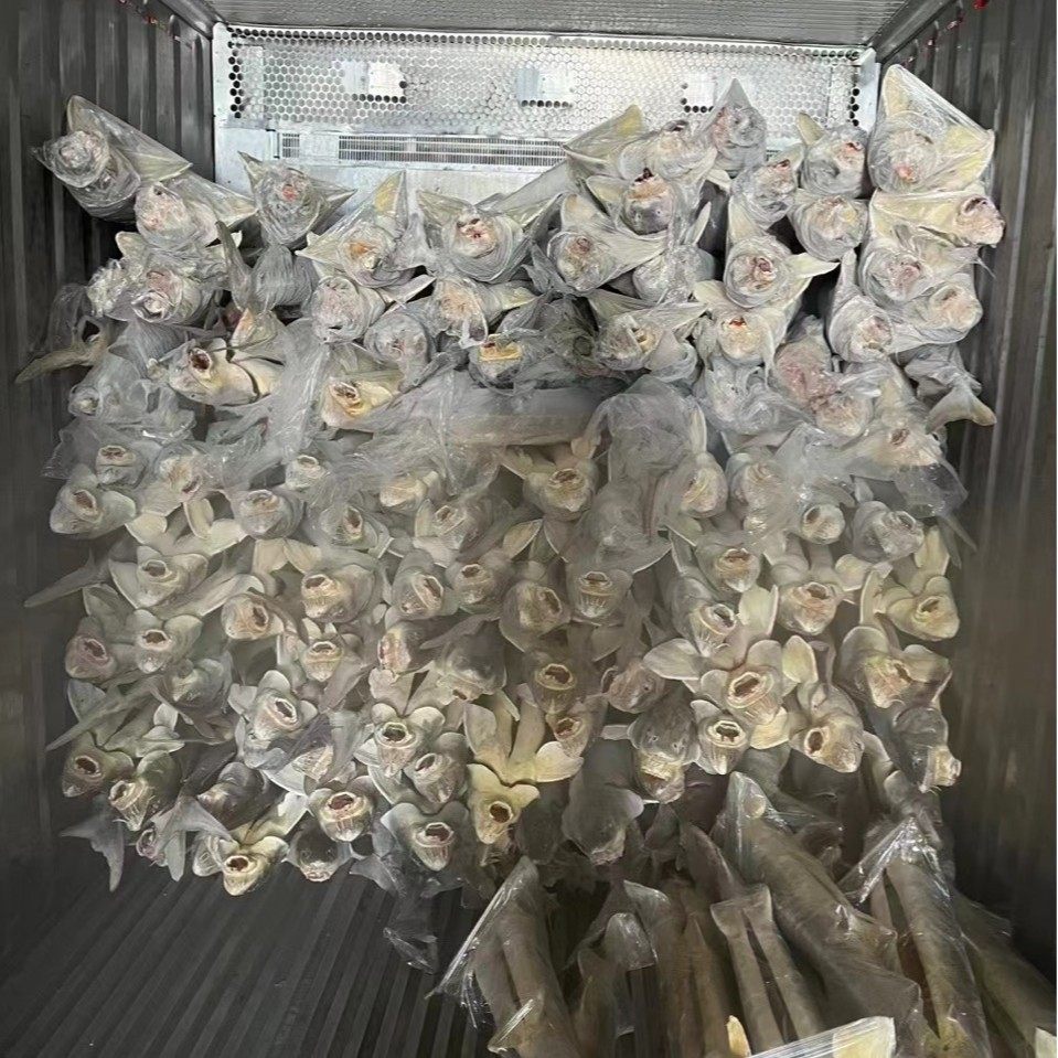 冷藏集装箱租赁移动冷库蔬菜水果肉类鱼虾保鲜冷冻库货柜冷链专用,淘宝优惠券,粉丝福利购,淘宝优惠卷