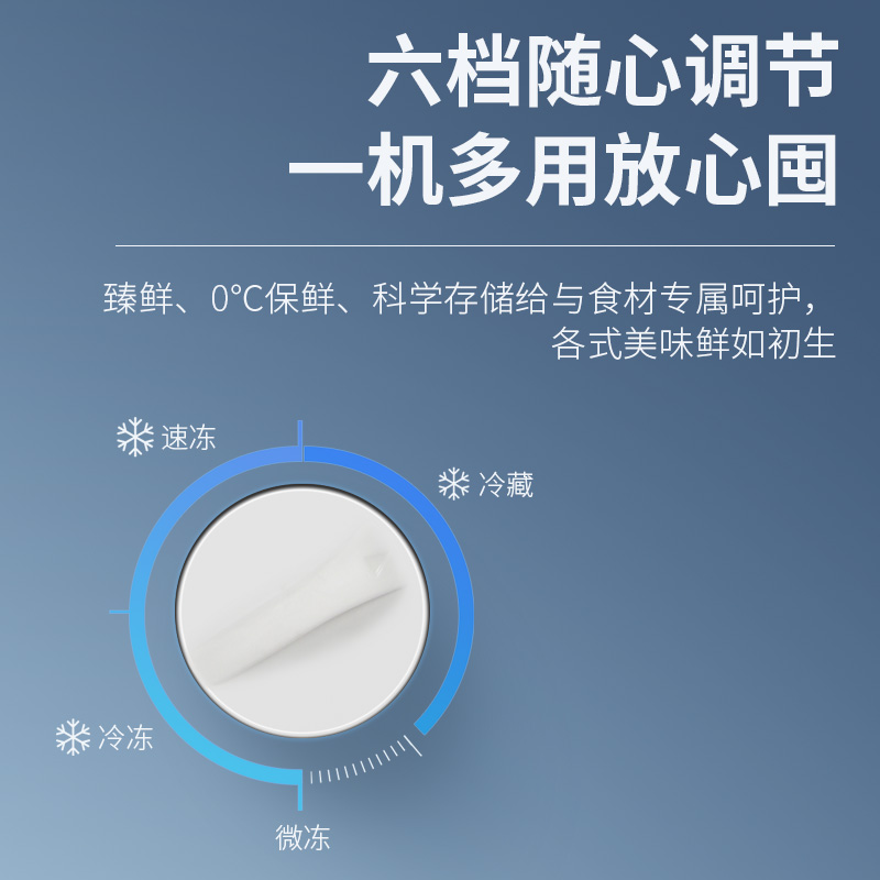 志高228/388升冰柜家用商用大容量冷藏冷冻两用铜管无霜速冻冷柜-图0