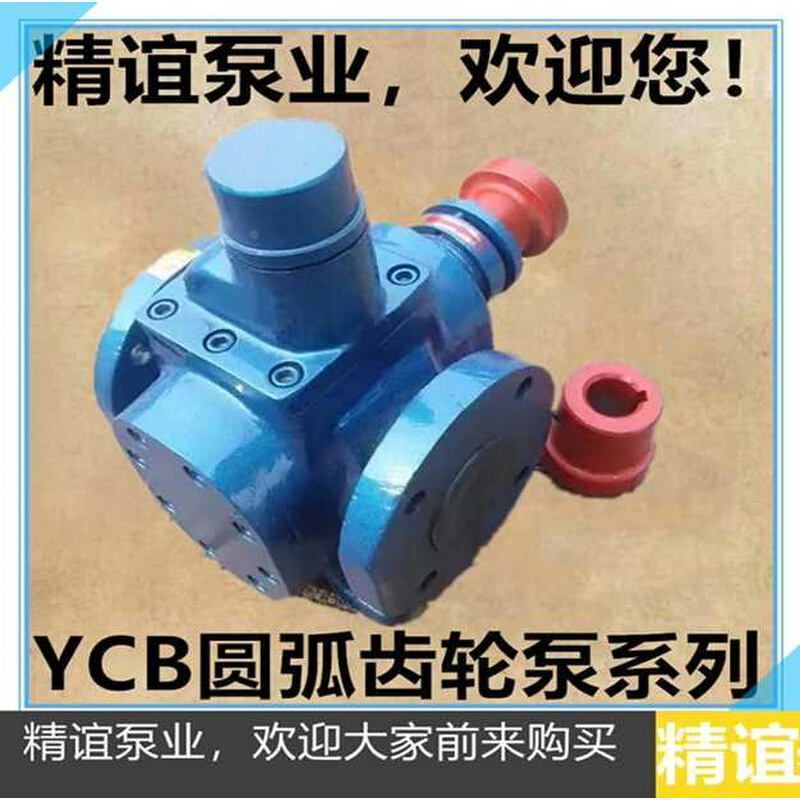 新品包0邮圆弧齿轮油泵YCB066 润滑 泵增Q压泵燃油泵 齿轮 泵 - 图1