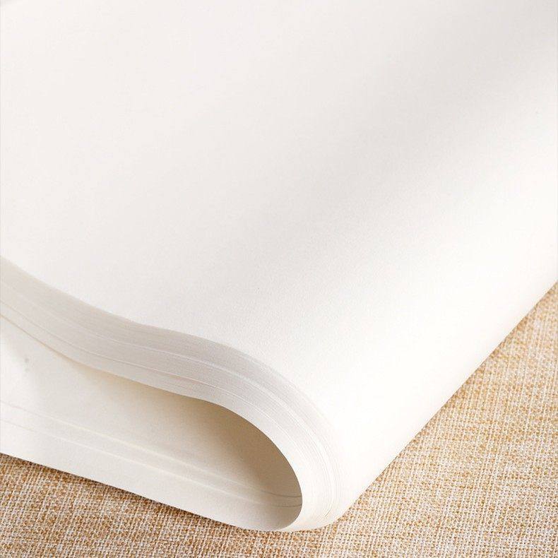 加厚熟宣纸四尺三尺生宣半生熟宣纸书法国画练习专用毛笔画作品纸,淘宝优惠券,粉丝福利购,淘宝优惠卷