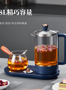 煮茶器一壶多用花茶姜茶甜品喷淋