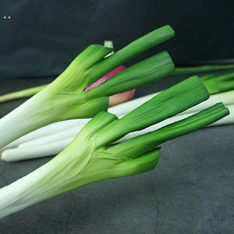 仿真大葱假山东葱蔬菜模型装饰菜品玩具儿童认知果蔬儿童早教道具,淘宝优惠券,粉丝福利购,淘宝优惠卷