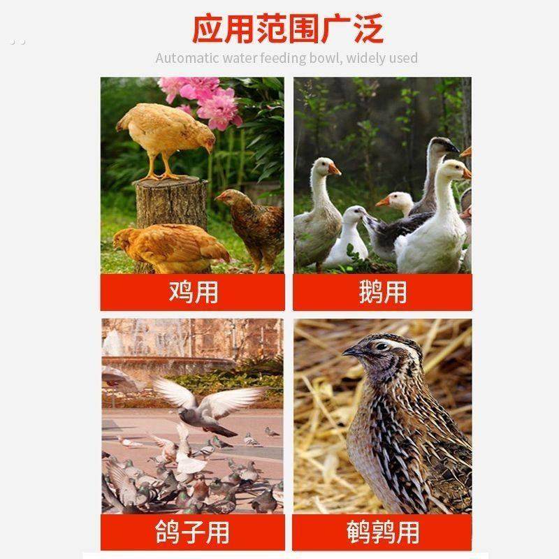 新款鸡鸭鸽子饮水碗雏鸡鸟用饮水器鹌鹑自动喂水器养殖自动喝水器,淘宝优惠券,粉丝福利购,淘宝优惠卷
