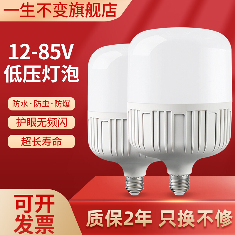 低压灯泡12vled灯摆摊灯夜市灯电动车电瓶灯24V36V48V90V直流球泡-图0