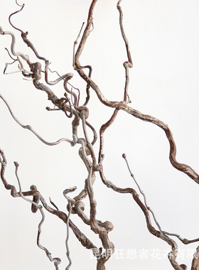 狂想者新品【天然龙枣枝】原木家居摆件装饰龙爪插花禅意干花艺术