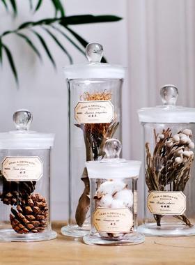 植物标本中药材标本中草药标本复古简约北欧家居软装样板房摆件