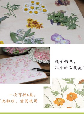见山干花标本DIY押花器工具包手工制作套装专业级押花板压花器