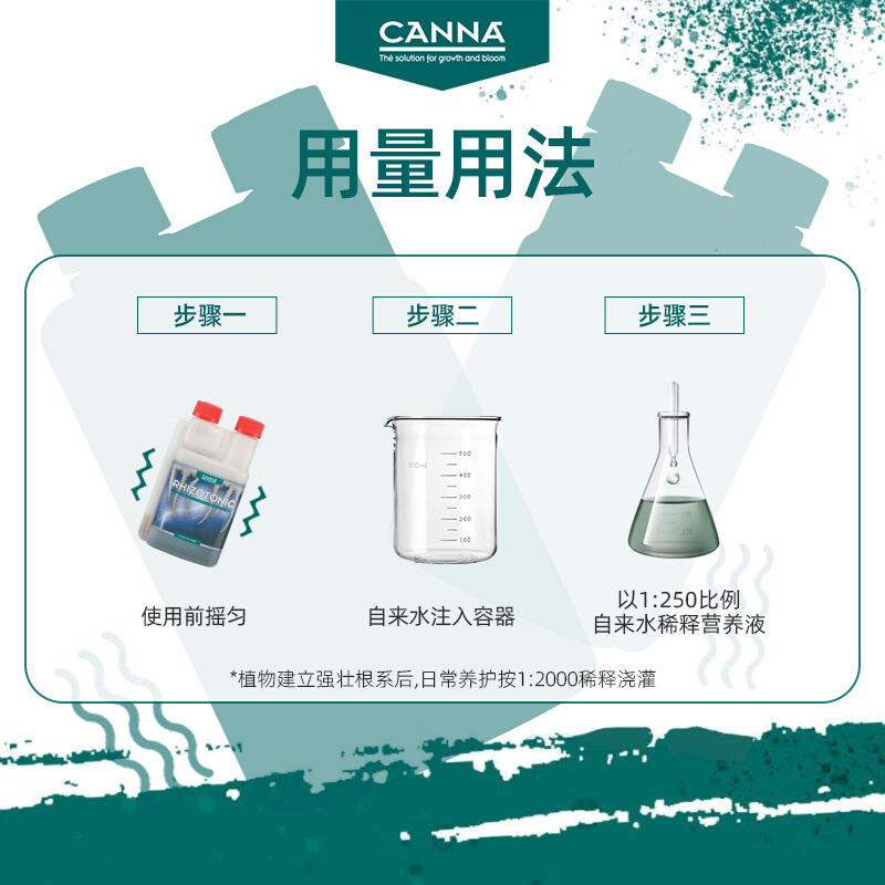 荷兰生根CANNA RHIZOTONIC植物叶面扦插壮苗移栽绿植盆景果蔬花卉