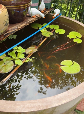 加厚风水缸鱼缸门海陶缸大口径矮胖大水缸大口缸宽口室外发酵缸