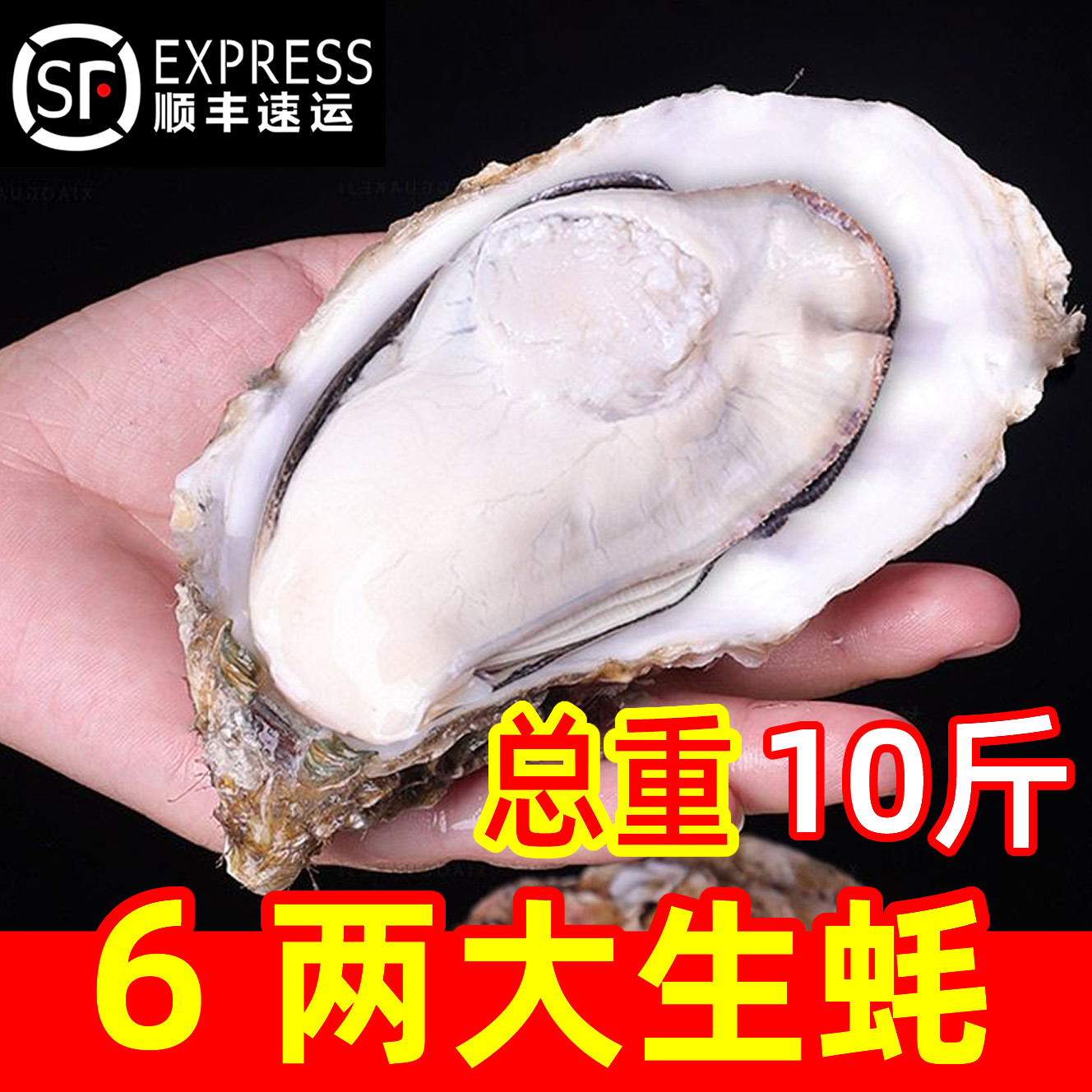 乳山生蚝鲜活特大牡蛎带壳海蛎子新鲜山东海鲜水产整箱10斤顺丰,淘宝优惠券,粉丝福利购,淘宝优惠卷