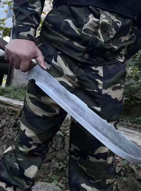野外防身一体刀剑荒野求生长短刀高锰钢锻打唐横刀车载兵器未开刃