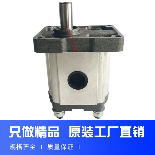 齿轮泵 液压油泵CBN-F310 F314 F306 F320 F325 F316 F325 TRYY - 图0